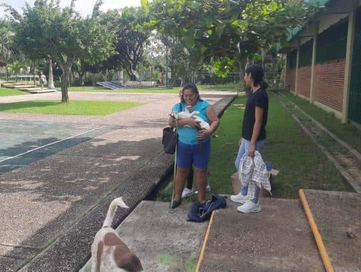 Animalistas llevarán a cabo esterilización canina y felina en Nanchital