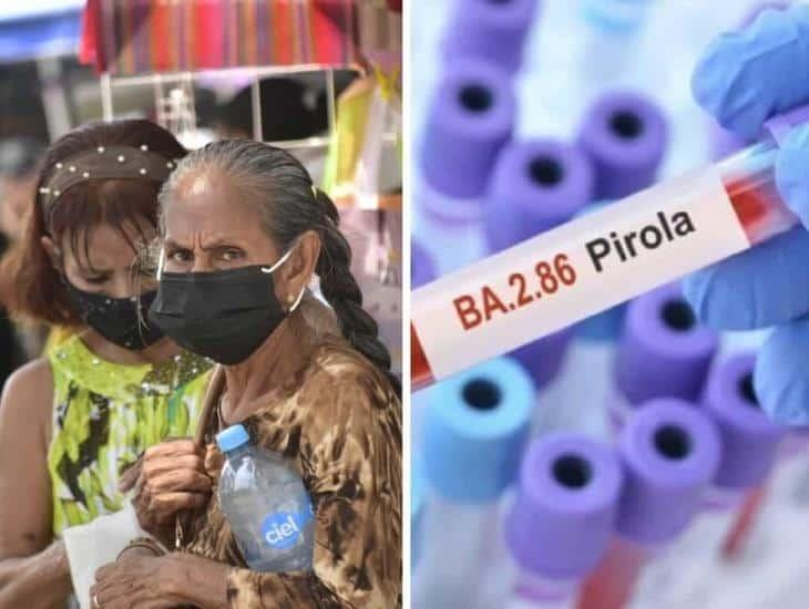 Pirola: especialistas advierten repunte de contagios en próximas semanas