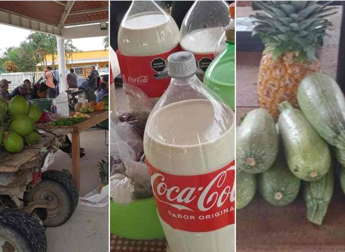 Con Sembrando Vida, campesinos de Minatitlán exponen sus productos