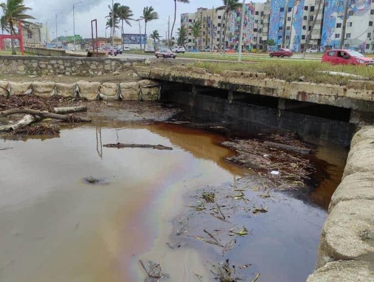 Afluentes de Veracruz contaminan el Golfo de México ¿qué tanto afecta el Río Coatzacoalcos?