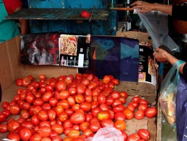 A este precio se consigue el kilo de tomate en verdulerías de Coatzacoalcos ¿bajó o subió?