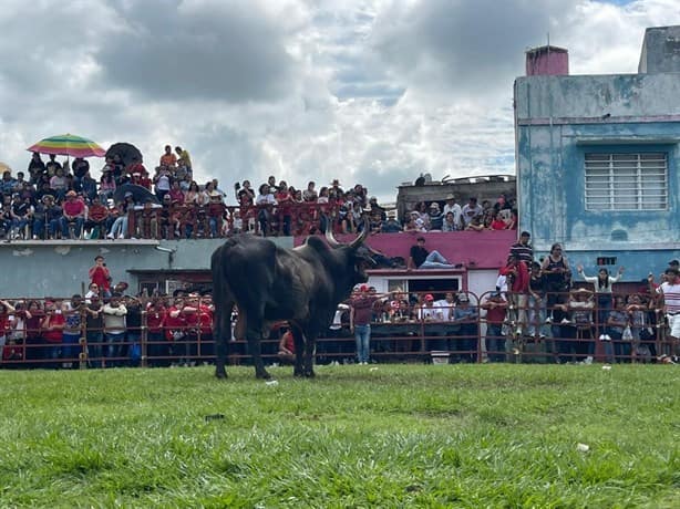 Tlacotalpan 2024: realizan embalse y suelta de toros por fiesta de La Candelaria