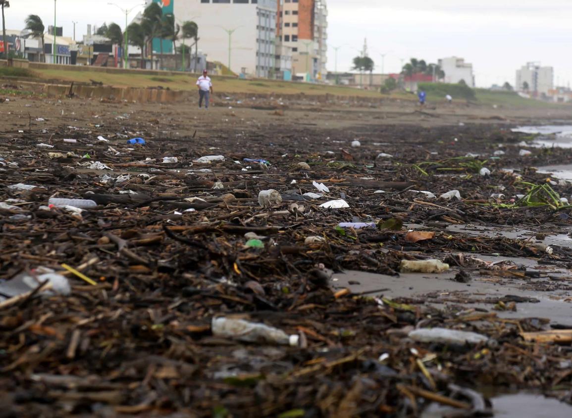 Playas de Coatzacoalcos reciben fuerte acusación por parte de ambientalistas