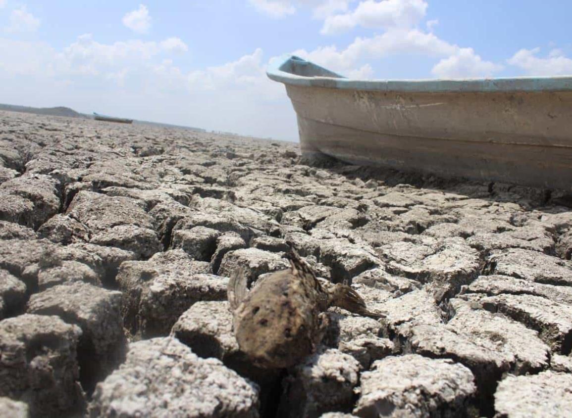 Estos municipios del Veracruz podrían sufrir sequía extrema, te decimos cuales son del Sur