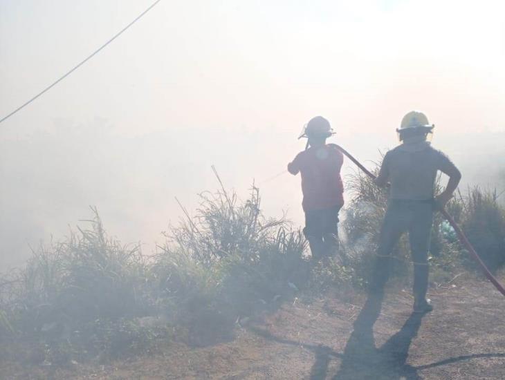 Por altas temperaturas se registran incendios de pastizales al poniente de Coatzacoalcos