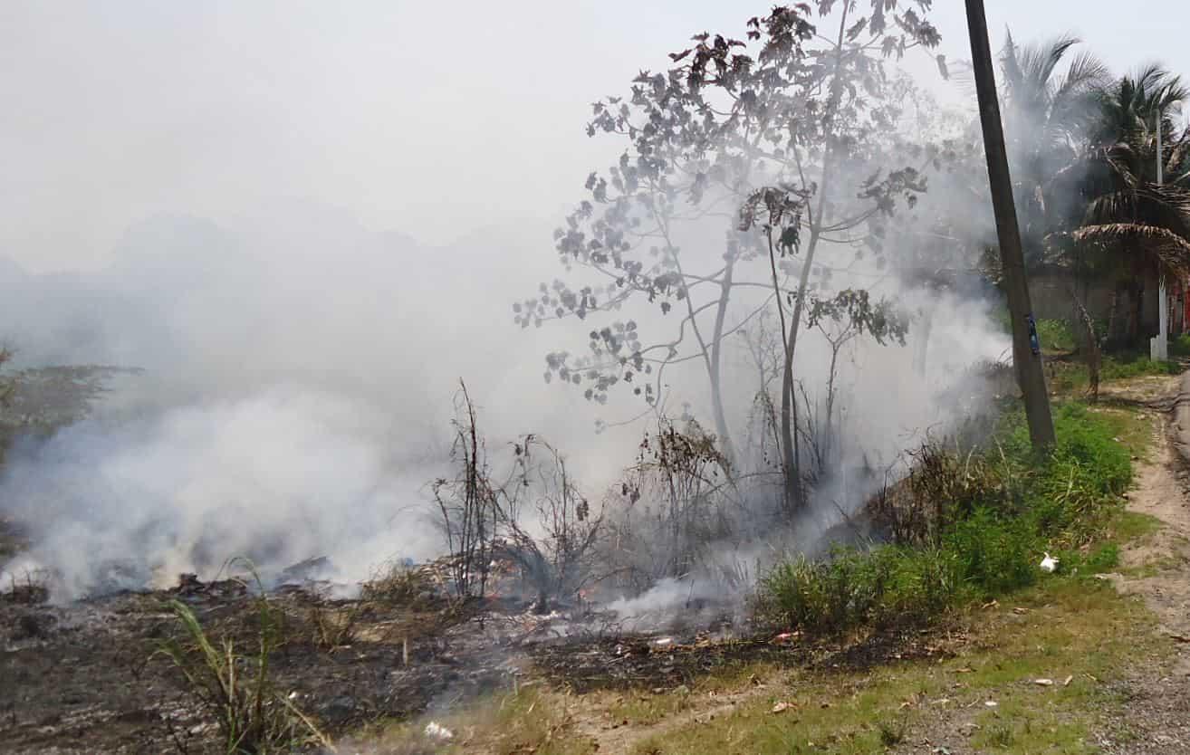 Protección Civil advierte sobre riesgos de incendios forestales