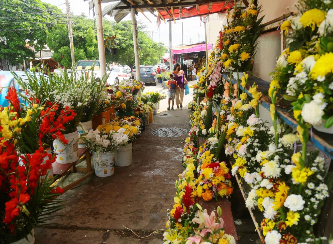 Día del Amor y la Amistad: las flores más vendidas; garantizan el abasto en el país