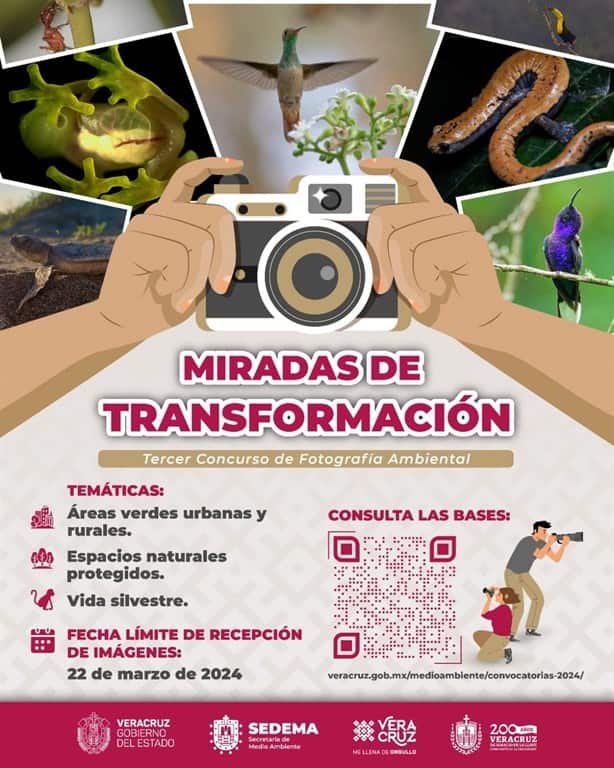 Miradas de transformación: Tercer concurso de fotografía ambiental; aquí los requisitos