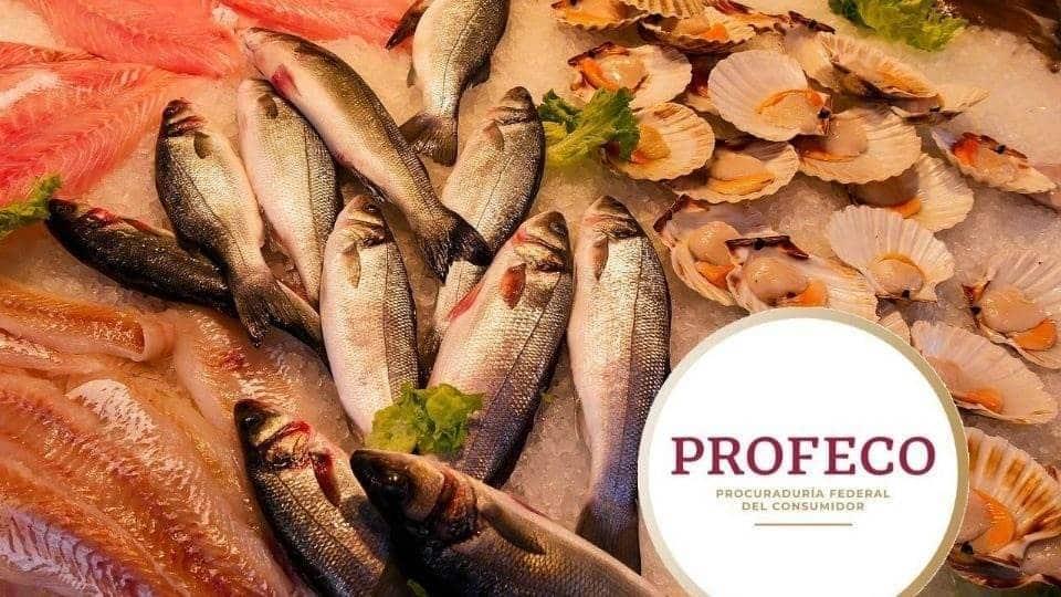 Estos son los 10 pescados más baratos para Cuaresma, según Profeco