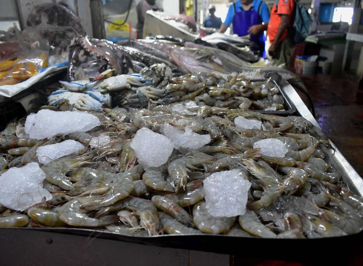 Profeco 2024: estos son los mariscos más caros en la temporada de cuaresma