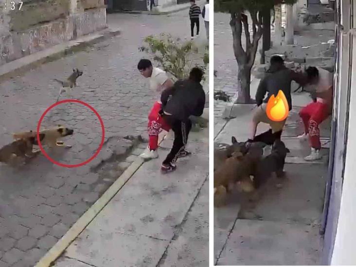 Jauría de perros casi deja sin pantalones a sujeto en el Edomex (+Video)