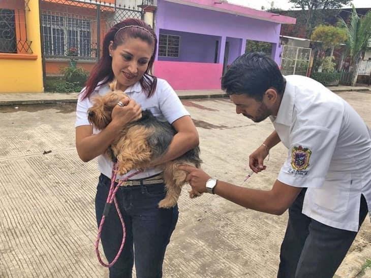 Activistas de Misantla piden vacunar a mascotas contra la rabia 