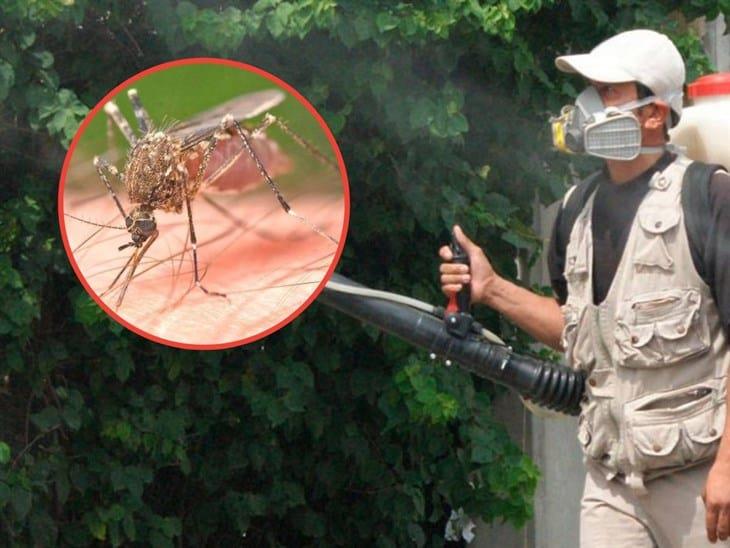 Podrían aumentar los casos de dengue en Veracruz durante 2024