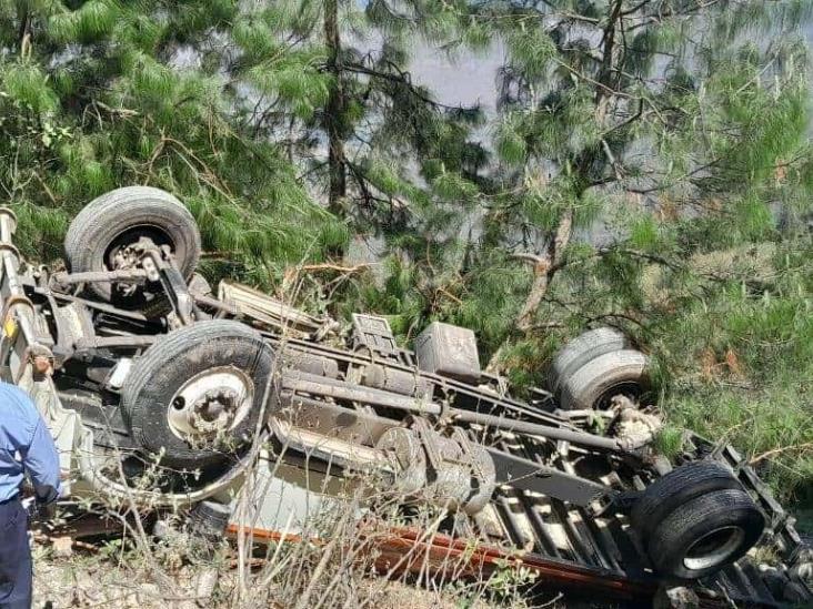 Camión de carga cae a barranco en Soledad Atzompa; hay un lesionado