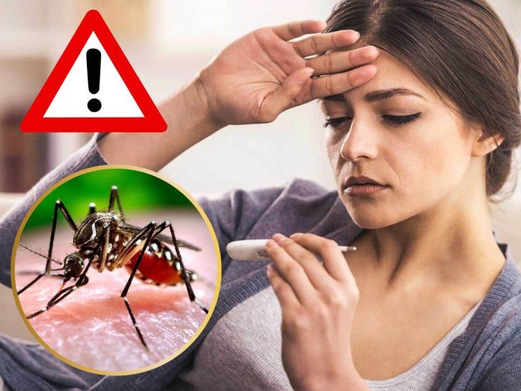 ¡Cuidado con el dengue! Estos son sus síntomas y así puedes evitarlo