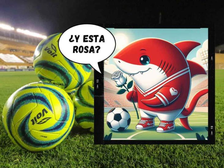 ¿Veracruz estará en la Liga de Expansión? Crecen los rumores