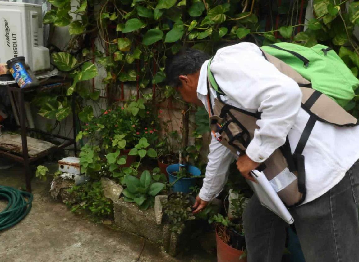 Realizan jornada de fumigación contra el dengue en Nanchital
