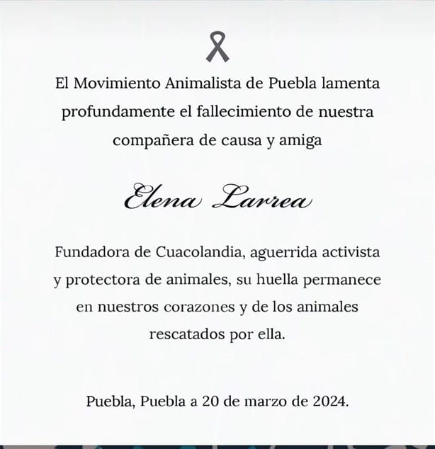 Muere Elena Larrea; fundadora y activista de Cuacolandia; rescató equinos en Veracruz