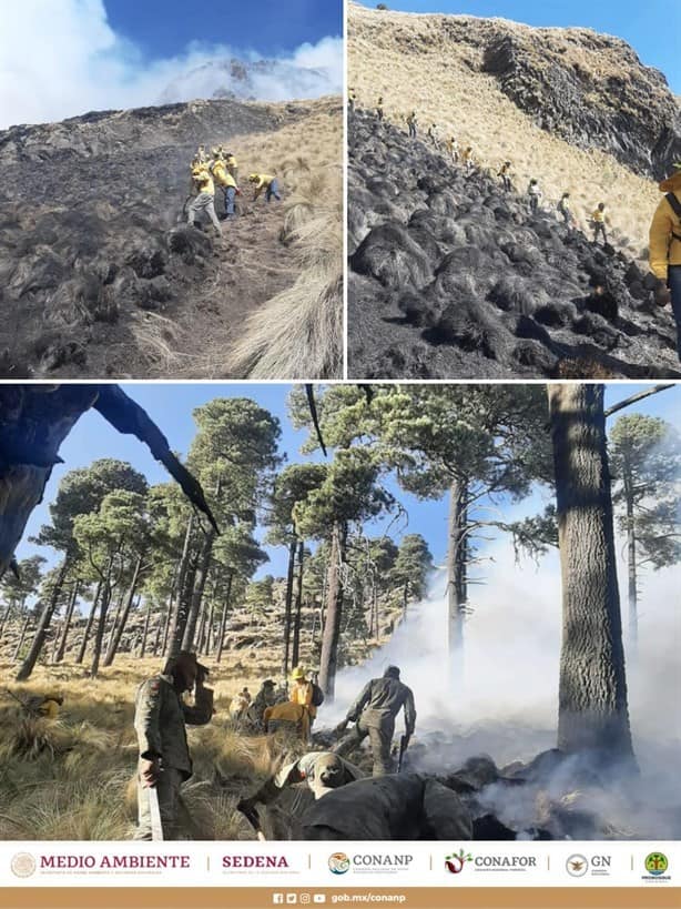 Enfrentan por octavo día incendio forestal en el Parque Nacional Iztaccíhuatl Popocatépetl