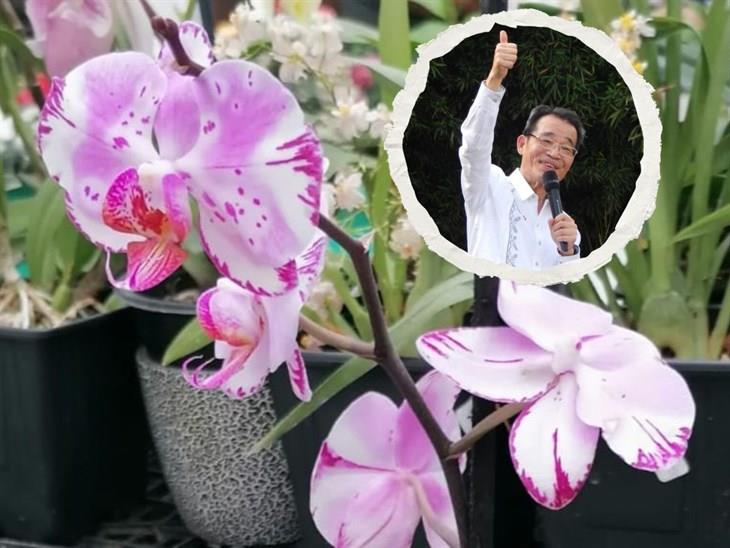 Abre sus puertas el Festival Internacional de la Orquídea en Coatepec