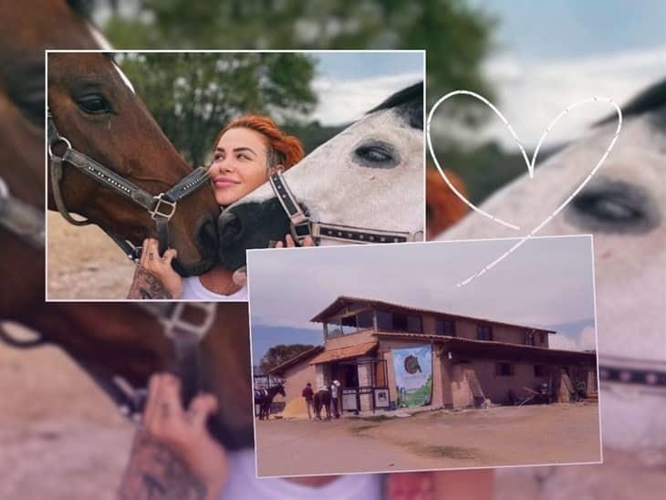 Cuacolandia: ¿qué pasará con los caballos del santuario tras la muerte de Elena Larrea? 
