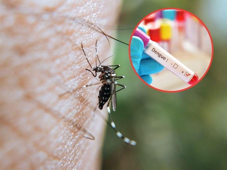 Veracruz suma casi 500 casos confirmados de dengue; es cuarto sitio a nivel nacional