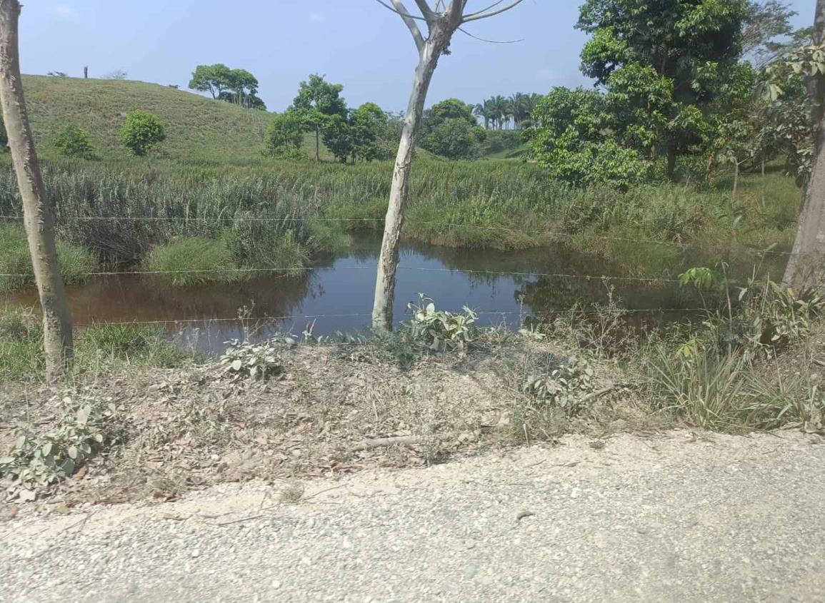 Altas temperaturas empiezan a secar represas; campos de Moloacán sufren afectaciones
