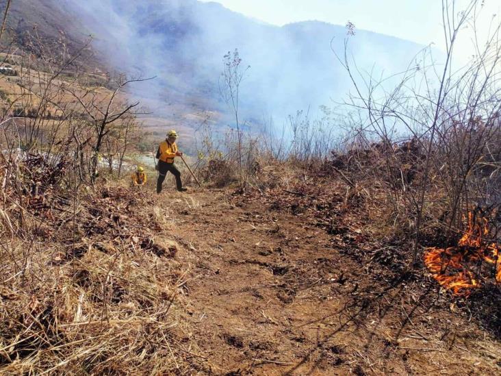 Atiende Protección Civil cinco incendios forestales en zona centro de Veracruz