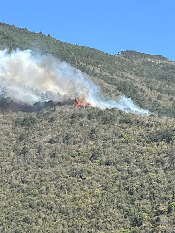 Incendios forestales amenazan a comunidades de Maltrata y Mendoza (+Video)
