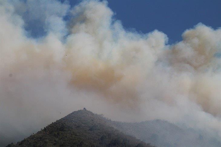 Incendios forestales en Veracruz: confirman afectación de 125 hectáreas
