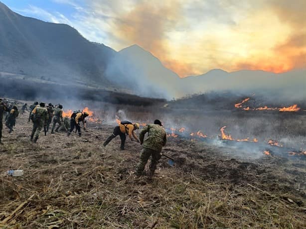 Suman siete incendios activos en el estado de Veracruz: Protección Civil