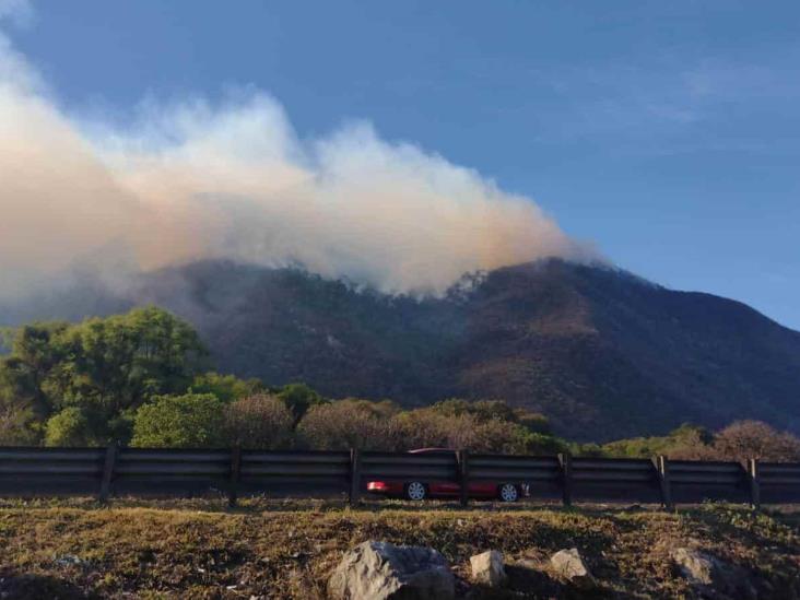 IP clama a Gobierno de Veracruz ayuda especializada para combate a incendios en Altas Montañas