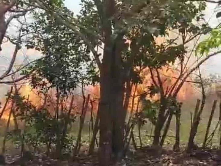 Incendio de maleza moviliza en El Lencero a Bomberos de Emiliano Zapata