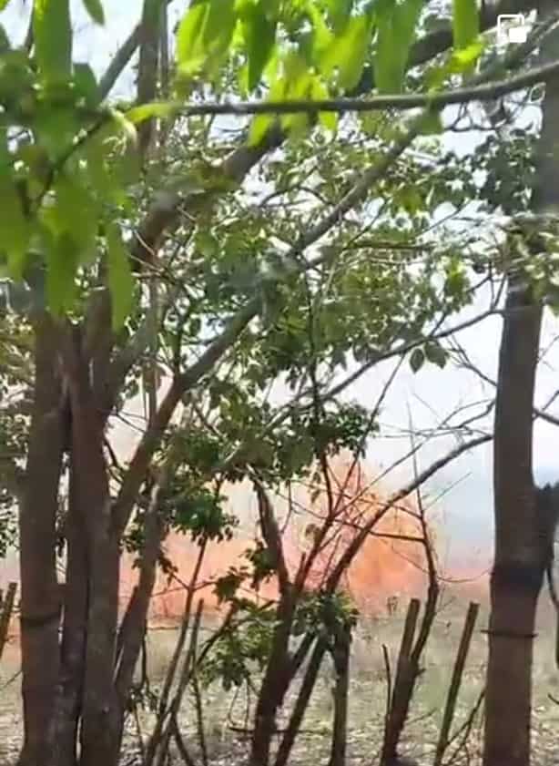 Incendio de maleza moviliza en El Lencero a Bomberos de Emiliano Zapata