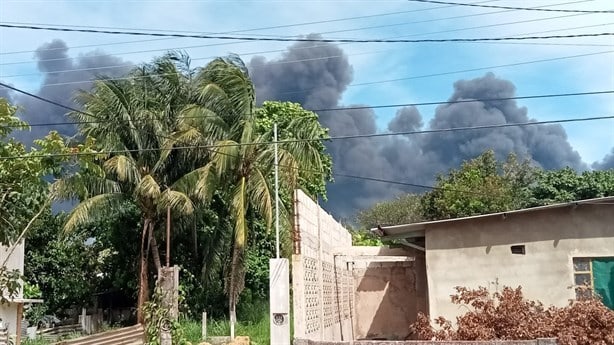 Alarma incendio de pastizales en predio de la refinería "Lázaro Cárdenas" I VIDEO