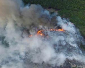 Hasta siete incendios activos persisten actualmente en Veracruz