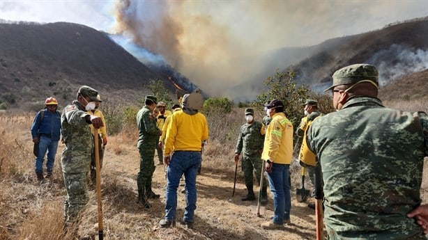 Esta es la pena de cárcel para quien provoque incendios forestales en Veracruz
