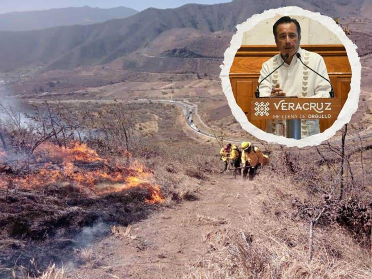 Gobierno de Veracruz minimiza incendios forestales, acusa Consejo Coordinador Empresarial