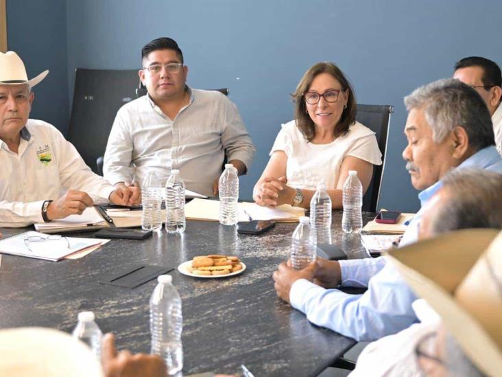Veracruz reafirmará potencia en producción de caña de azúcar: Rocío Nahle