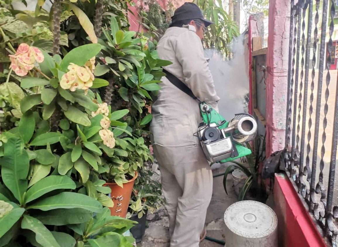 Fumigan patios en colonia Tepeyac de Nanchital ante caso positivo de dengue