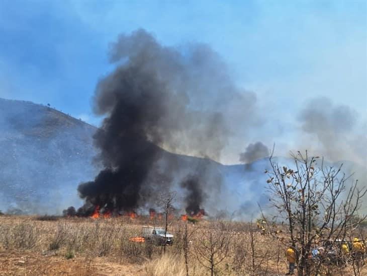 Reportan más de 1,670 hectáreas afectadas por incendios forestales en las Altas Montañas