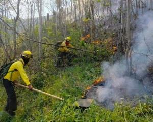 Incendios en zonas montañosas de Veracruz logran ser controlados