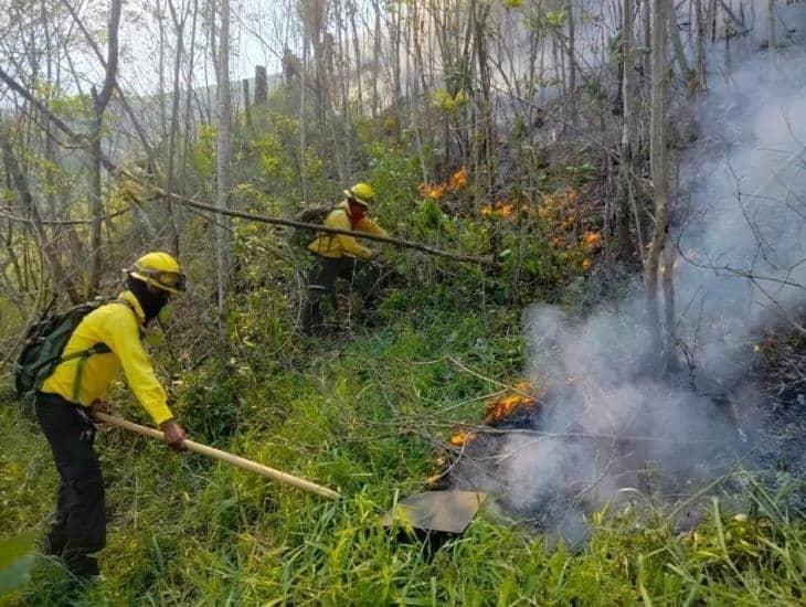 Incendios en zonas montañosas de Veracruz logran ser controlados