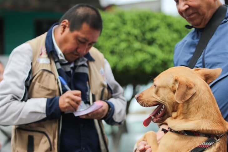 En Río Blanco, piden vacunar a perros y gatos para prevenir enfermedades