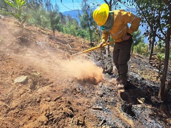 Tras 5 días de incendios en Orizaba; suman 2 mil 103 hectáreas afectadas