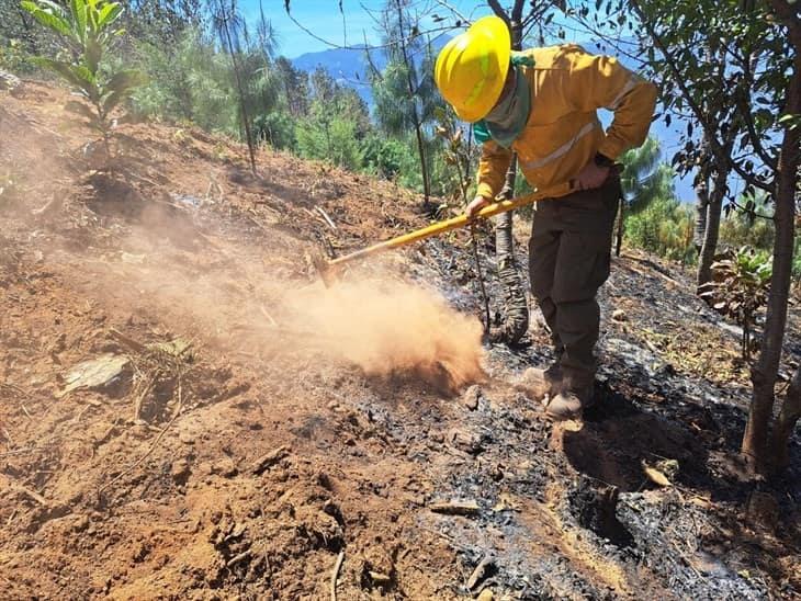 Tras 5 días de incendios en Orizaba; suman 2 mil 103 hectáreas afectadas