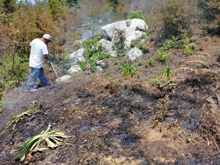 Se reactiva el fuego en Soledad Atzompa; en alerta cuerpos de tarea
