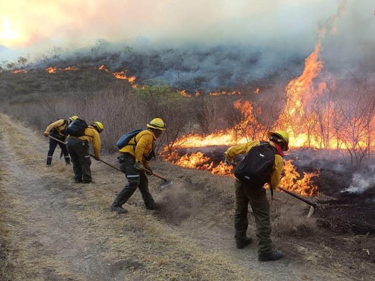 Incendio arrasa más de 90 hectáreas forestales en zona serrana de Mendoza