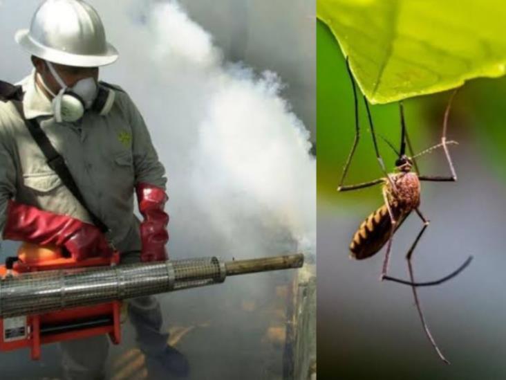 Veracruz, entre los estados con peor combate contra el dengue; ¿Qué lugar ocupa?