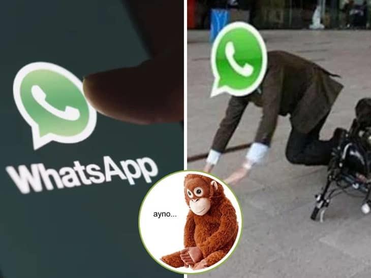 ¿No recibiste su mensaje?: WhatsApp se cae este 03 de abril